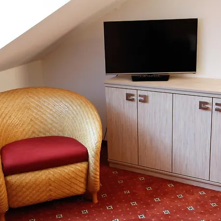 Dvorak Guest house Karlovy Vary
