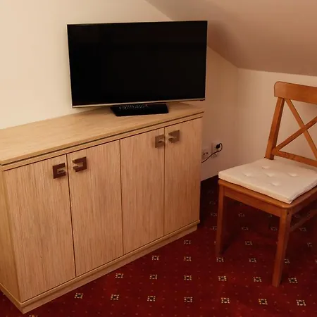Dvorak Guest house 2*