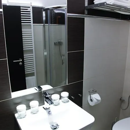 Dvorak Guest house 2*