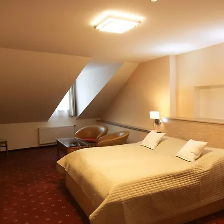 Dvorak Guest house Karlovy Vary