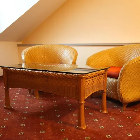 Guest house Dvorak Karlovy Vary