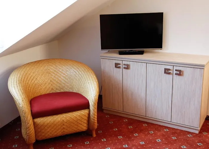 Dvorak ゲストハウス カルロヴィ・ヴァリ