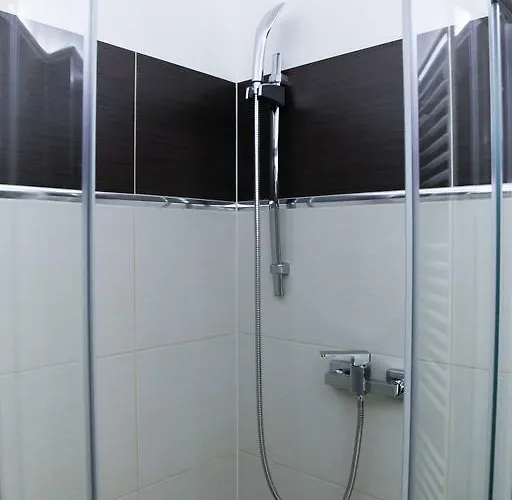 Dvořák Karlovy Vary