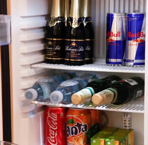 Dvořák Affittacamere