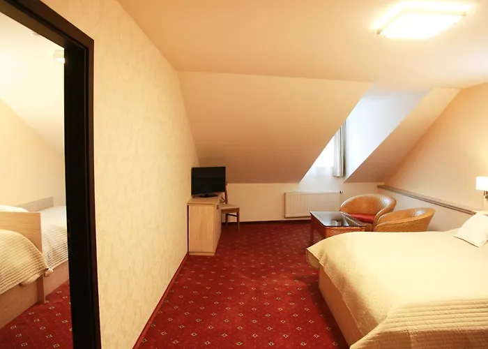 Affittacamere Dvořák Karlovy Vary