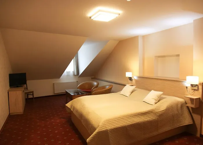 Dvorak Guest house Karlovy Vary