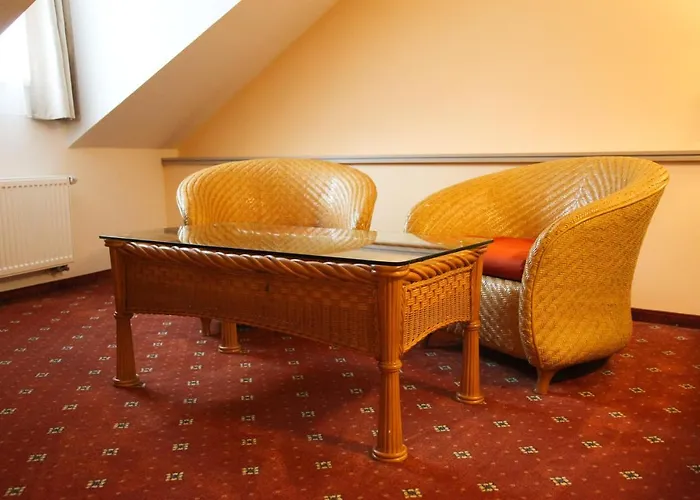 Affittacamere Dvořák Karlovy Vary