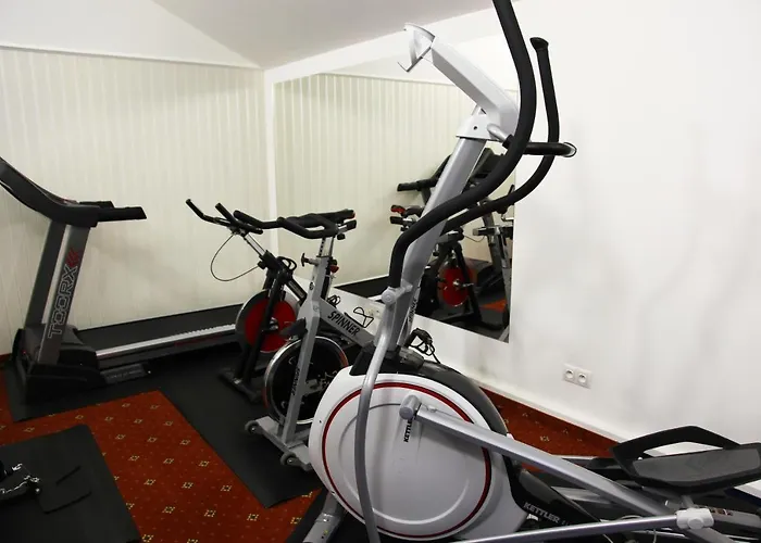 Dvořák Karlovy Vary